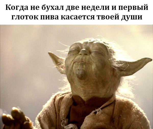 38714564_322308485180149_6498922939239366656_n.jpg