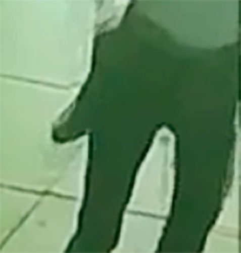 bag4.jpg