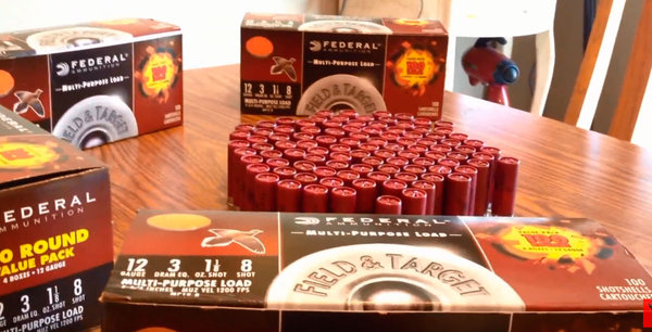 100shotshells1.jpg