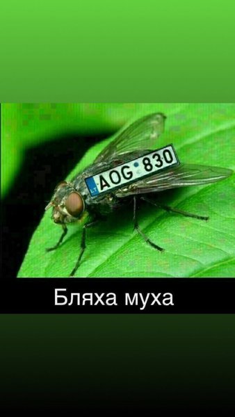 IMG-23c6fd6ccf62075d60dd418ab2cb87a3-V.jpg (97.03 KiB) Просмотров: 3273 IMG-23c6fd6ccf62075d60dd418ab2cb87a3-V.jpg