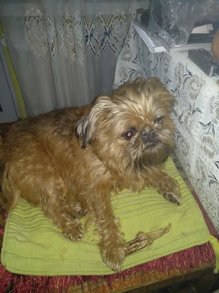 IMG_20190114_174707.jpg (4.13 MiB) Просмотров: 3862 IMG_20190114_174707.jpg