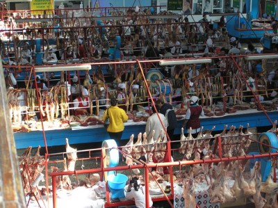 PA022248.JPG