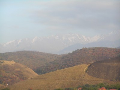 PA022263.JPG