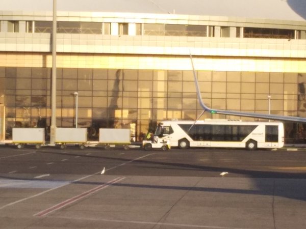 IMG_20190301_065249.jpg (787.51 KiB) Просмотров: 1242 IMG_20190301_065249.jpg