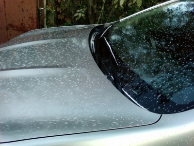 Как снежком посыпало.jpg (105.41 KiB) Просмотров: 2924 Как снежком посыпало.jpg