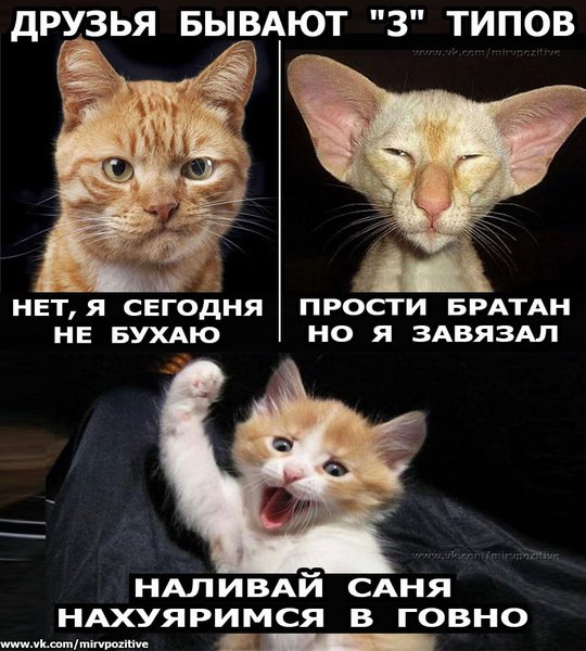 IMG-40e7d5c7fc807c2049dbe8419e74914b-V.jpg (119.6 KiB) Просмотров: 4755 IMG-40e7d5c7fc807c2049dbe8419e74914b-V.jpg