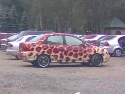 Resize of 12092008.jpg (63.48 KiB) Просмотров: 1836 Resize of 12092008.jpg