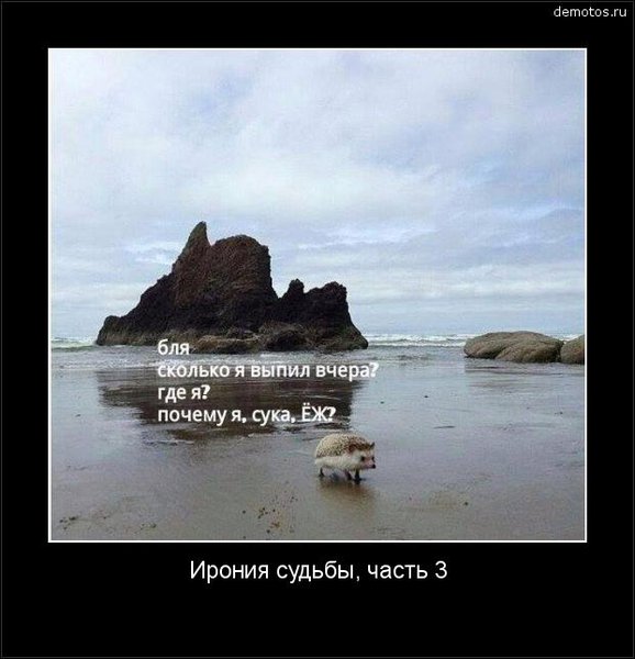 2016-01-05-1452012092.jpg (45.12 KiB) Просмотров: 3119 2016-01-05-1452012092.jpg