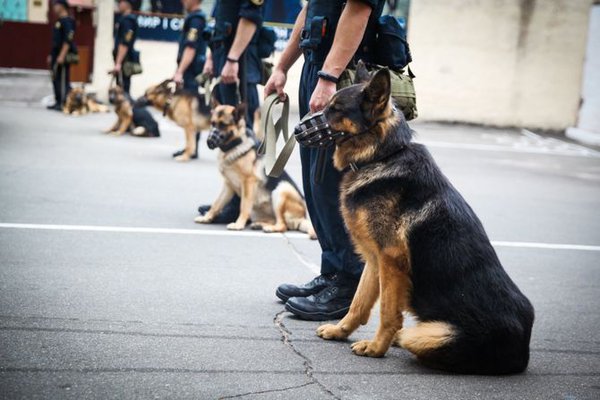 67870688-897983217227510-3010910668795674624-o.jpg (50.76 KiB) Просмотров: 3377 67870688-897983217227510-3010910668795674624-o.jpg