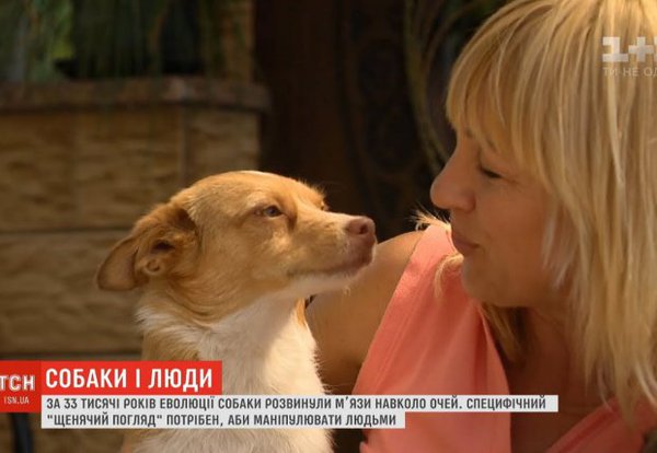 bcb5d64c06a69e71.jpg (40.62 KiB) Просмотров: 2548 bcb5d64c06a69e71.jpg