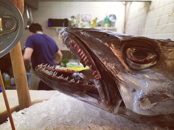 5c4ebfd9172b9686648730.jpg (274.74 KiB) Просмотров: 1378 5c4ebfd9172b9686648730.jpg