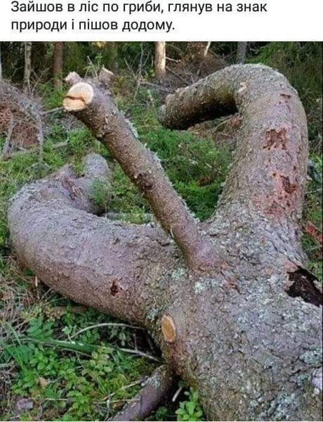 IMG-6c1b4f9911d81704180b10493cc2fb46-V.jpg (64.85 KiB) Просмотров: 2966 IMG-6c1b4f9911d81704180b10493cc2fb46-V.jpg