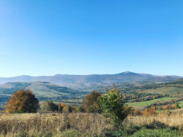 IMG-04afc74949b84699dc5fb860fa3669eb-V.jpg (233.19 KiB) Просмотров: 2171 IMG-04afc74949b84699dc5fb860fa3669eb-V.jpg