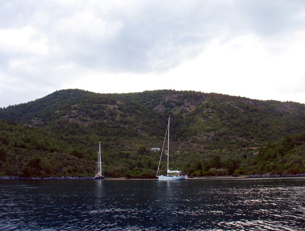 Img_24.jpg (2.58 MiB) Просмотров: 3335 Img_24.jpg