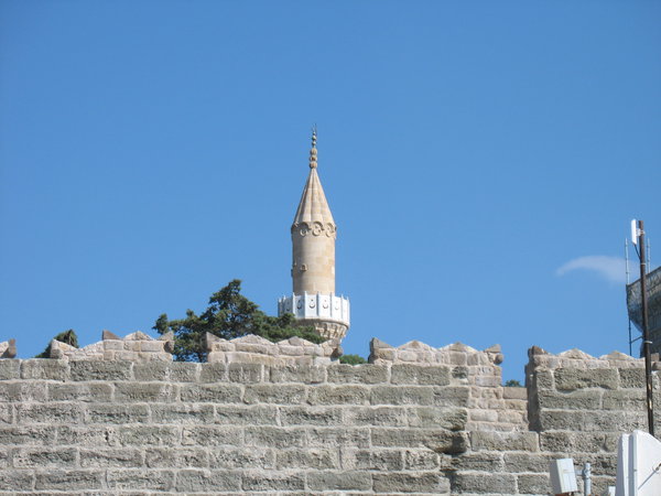 IMG_4499.JPG