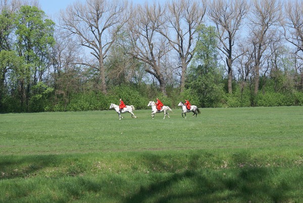 Dibrivka-konezavod 002.jpg (4.45 MiB) Просмотров: 1542 Dibrivka-konezavod 002.jpg