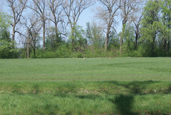 Dibrivka-konezavod 004.jpg (4.6 MiB) Просмотров: 1542 Dibrivka-konezavod 004.jpg