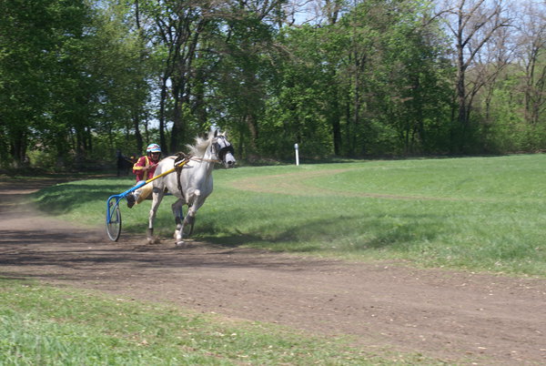 Dibrivka-konezavod 008.jpg (3.33 MiB) Просмотров: 1542 Dibrivka-konezavod 008.jpg