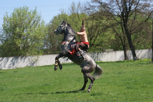 Dibrivka-konezavod 007.jpg (2.65 MiB) Просмотров: 1542 Dibrivka-konezavod 007.jpg
