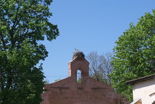Dibrivka-konezavod 098.jpg (3.91 MiB) Просмотров: 1542 Dibrivka-konezavod 098.jpg