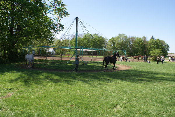 Dibrivka-konezavod 114.jpg (3.78 MiB) Просмотров: 1542 Dibrivka-konezavod 114.jpg