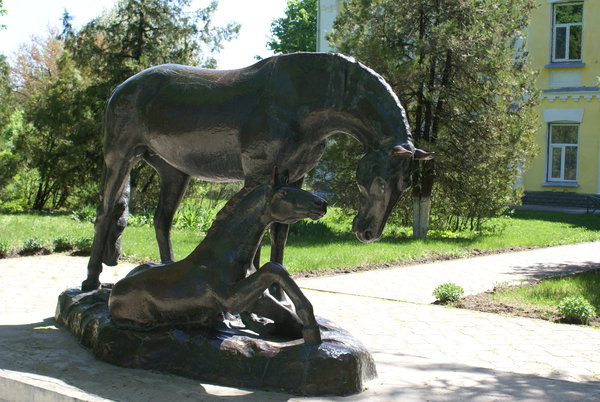 Dibrivka-konezavod 113.jpg (3.29 MiB) Просмотров: 1454 Dibrivka-konezavod 113.jpg