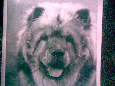 13122007(001).jpg (55 KiB) Просмотров: 1250 13122007(001).jpg