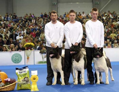 трио.jpg (34.43 KiB) Просмотров: 1250 трио.jpg