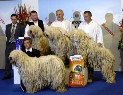 рп.jpg (31.33 KiB) Просмотров: 1250 рп.jpg