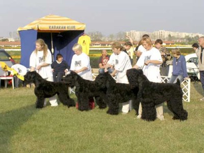 ооо.jpg (26.05 KiB) Просмотров: 1250 ооо.jpg