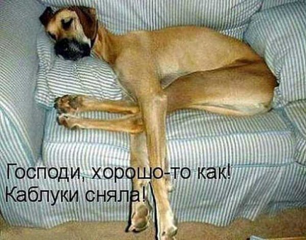 Barda-5.jpg (79.12 KiB) Просмотров: 2493 Barda-5.jpg