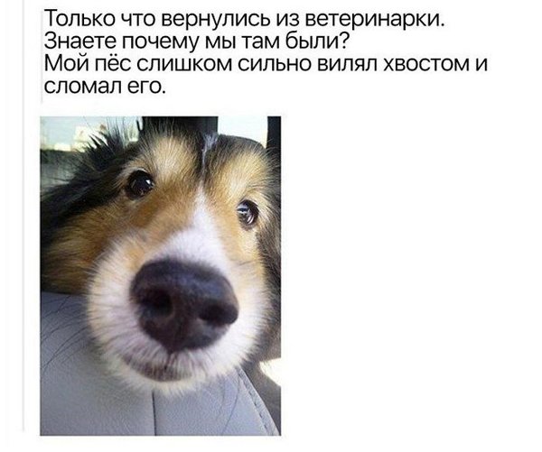 1519068267141546849.jpg (63.16 KiB) Просмотров: 2493 1519068267141546849.jpg