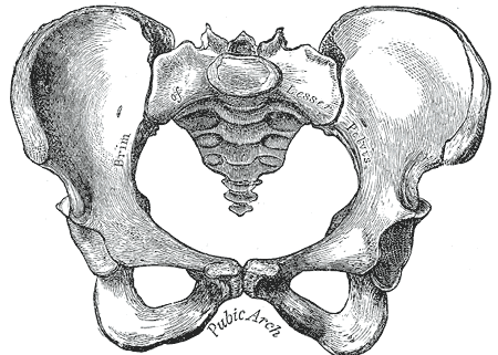 0FCF4870-B736-4F25-9CFF-E3ED63D6F098.png