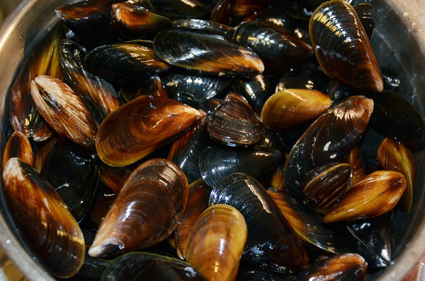 mussels_3.jpg
