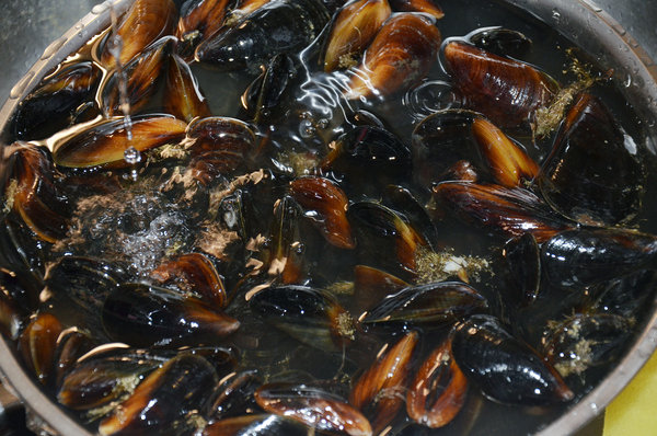 mussels_1.jpg