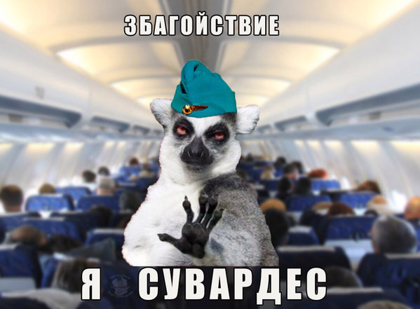 1573983001174031301.jpg