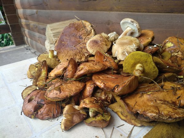 IMG_20200730_160922.jpg (2.22 MiB) Просмотров: 2947 IMG_20200730_160922.jpg