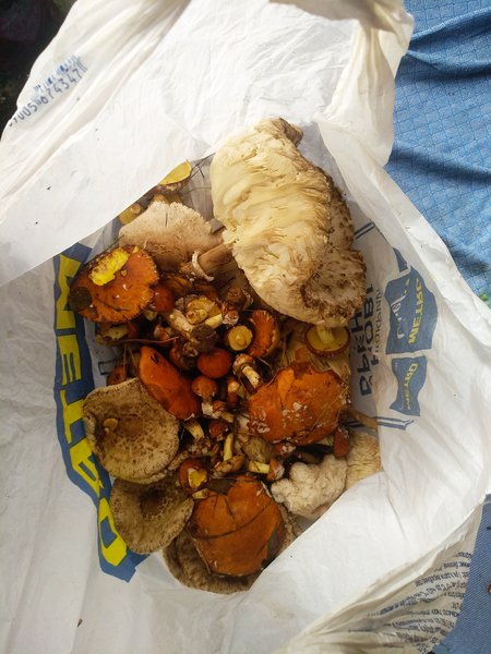 IMG_20200905_164226.jpg (2.43 MiB) Просмотров: 2562 IMG_20200905_164226.jpg