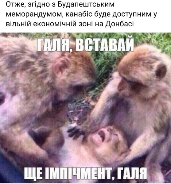 IMG-455296a798bec87a0ded7d800d83813f-V.jpg