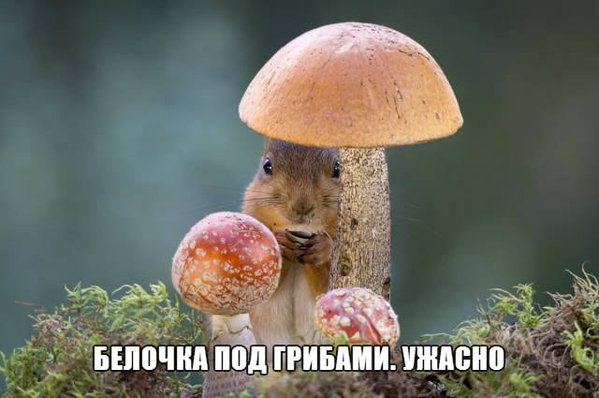 1533979078_2.jpg (43.71 KiB) Просмотров: 1773 1533979078_2.jpg