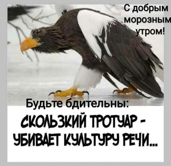 IMG-28b2a7110f7c67a8c097ee9aa7e5d025-V.jpg (43.6 KiB) Просмотров: 4081 IMG-28b2a7110f7c67a8c097ee9aa7e5d025-V.jpg