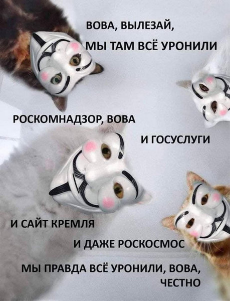 UoBaR01Skhb80DaHCIvAjrjzRy2MnU5xDj3hmEBK.jpeg (154.56 KiB) Просмотров: 4502 UoBaR01Skhb80DaHCIvAjrjzRy2MnU5xDj3hmEBK.jpeg