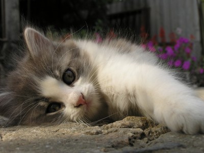 P8125690_новый размер.JPG