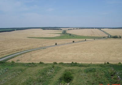 DSC03808.jpg