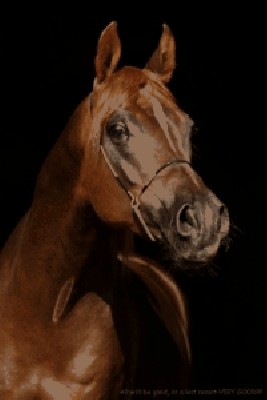 OURS0009.JPG (46.59 KiB) Просмотров: 887 OURS0009.JPG