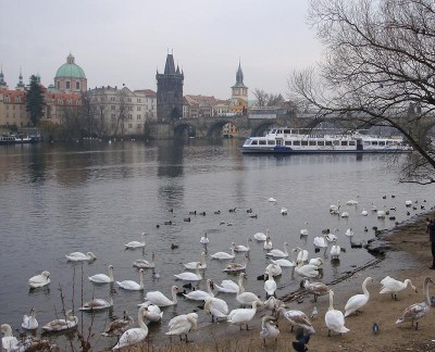DSC00612_1.JPG