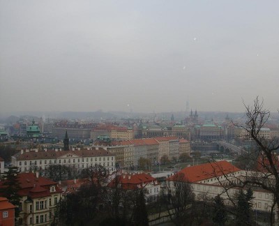 DSC00595_1.JPG