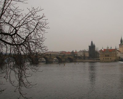 DSC00537_1.JPG