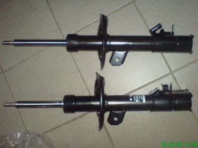 Аморики -вид лёжа..JPG (43.86 KiB) Просмотров: 3304 Аморики -вид лёжа..JPG