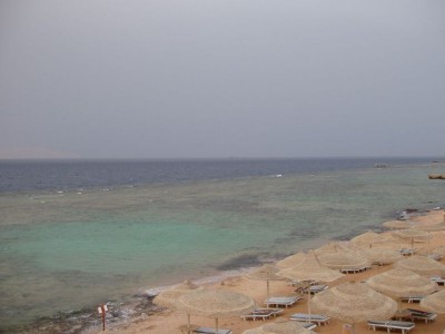 P4280214.JPG